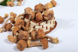 Качественная Заводская поставка, органический порошок экстракта агарикуса блейзея муррила, полисакаги - Product Image 4