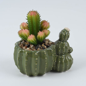 Piante succulente artificiali dei piccoli vasi da fiori ceramici a forma di <span class=keywords><strong>cactus</strong></span> su ordinazione all'ingrosso mini - Product Image 5