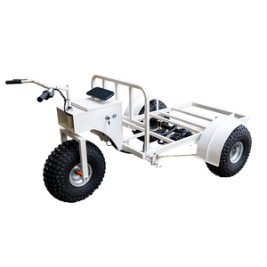 Custom Elektrisch Ijs Platform Kar Display Driewieler Ijskar Elektrische Trolley Ijs Handkar - Product Image 1