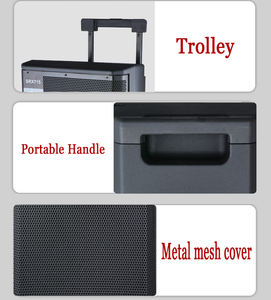 Hot bán chuyên nghiệp loa lớn 15 inch công suất cao lớn DJ bass loa hoạt động hệ thống với hiệ<span class=keywords><strong>u</strong></span> suất cao và Micro - Product Image 6