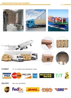 OEM/ODM Fabriek Directe Verkoop Zure Vierkante (Aardbei) Fudge Zure Gevulde Kleurrijke Cartoon-Vormige Suikergoedjes