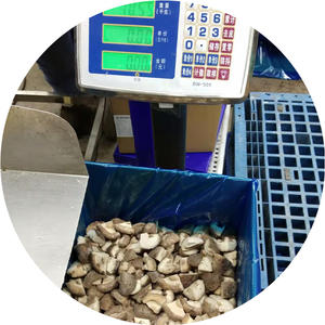 Exportación directa de fábrica IQF de hongos congelados Los hongos <span class=keywords><strong>shiitake</strong></span> congelados cumplen con los requisitos de HACCP /ISO/ HALAL/KOSHER - Product Image 2