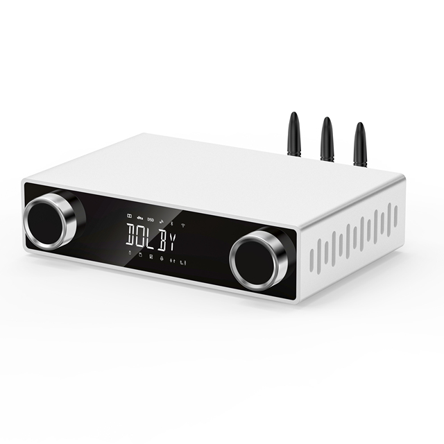 Four-in-one 5.1 Power Amplifier Integrated Decoder 5.1 Power Amplifier DSP Wireless Mic 5G Transmission Audio Power Amplifier