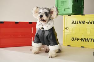 Veste matelassée de luxe pour chien, collection automne-hiver, motif uni, en cuir PU noir avec fourrure en duvet et peluche - Product Image 4