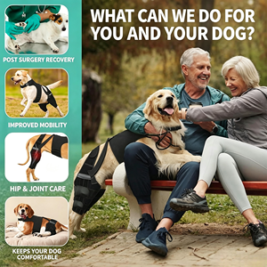 Soporte Ajustable para Patas Traseras <span class=keywords><strong>de</strong></span> Perro USMILEPET, Protector <span class=keywords><strong>de</strong></span> Doble Protección para Patas <span class=keywords><strong>de</strong></span> Mascotas - Product Image 3