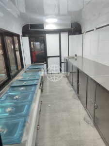 Mini camion de restauration mobile DOT avec fenêtres en verre, chariot à hot-dogs de 24 pieds, fournisseurs vérifiés pour camions de restauration BBQ - Product Image 2