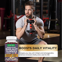 Gummies de Shilajit à Marque Blanche OEM en Promotion pour le Soutien Énergétique et l'Équilibre de l'Humeur avec Notre Mélange Apaisant contre le Stress