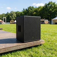 Subwoofer passif Thinuna T-15B II simple 15 pouces, 800W AES 8Ω, aimant en ferrite, bobine vocale de 4,5 pouces, haut-parleur de basses professionnel pour scène