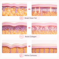 Appareil de massage anti-cellulite professionnel pour cliniques de beauté, appareil anti-rides, machine brûle-graisse pour le corps et le visage, brosse nettoyante pour usage spa