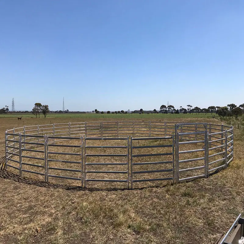 Pannelli di recinzione in metallo per allevamento di recinzione per bestiame pannelli di capra Recinzioni per bovini per saldare il pannello del recinto per cavalli