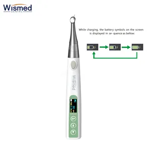 모터 Handpiece 내향 조정 치과 단위 내향 모터 E 극단적인 치과 치과 치과 장비