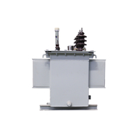 Transformador de Potencia Trifásico de 100KVA 250KVA, Transformador Eléctrico Reductor de 11KV 20KV 33KV, Directo de Fábrica, Fabricante con 35 Años de Experiencia