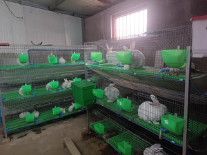 Lồng thỏ giá rẻ chất lượng cao, lưới thép hàn mạ kẽm, nhà máy sản xuất lồng thỏ <span class=keywords><strong>3</strong></span> hoặc <span class=keywords><strong>4</strong></span> tầng - Product Image 3