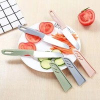 Rts Hete Verkoop Keuken Huishoudelijke Meloen Fruit Aardappelschillen Draagbare Groente Snijden Roestvrij Staal Klein Fruitmes Met