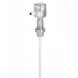 สวิตช์ตรวจจับระดับแบบ Capacitance ของ Endress Hauser รุ่น FTI56/FTI55/FTI52/FTI51/FTI77 ของแท้ใหม่เอี่ยม - Product Image 4