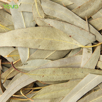 Daun Eucalyptus Kering Grosir Pabrik, Daun Eucalyptus Panjang Kering untuk Dekorasi, Pembuatan Lilin, Kerajinan Tangan, Bahan DIY
