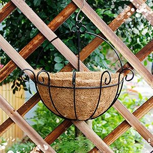Moderna semplice decorazione artistica del giardino Indoor Outdoor cestino di cocco Home Wall Decor pianta supporto <span class=keywords><strong>da</strong></span> 25cm - Product Image 4