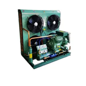 Unité de condensation frigorifique à compresseur bitzer pour chambre froide 25 hp 30 hp 35hp Convient aux scénarios de réfrigération