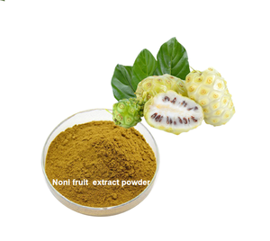 Yüksek kaliteli toptan <span class=keywords><strong>Noni</strong></span> meyve tozu vitamini davul/şişe ambalajlama 99% - Product Image 4