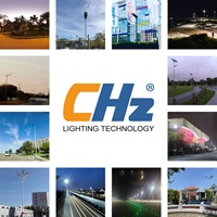 Lámpara Solar CHZ IST11 80W 100W para Alumbrado Público, Parques Industriales y Áreas de Fábrica, 170lm/W, IP65
