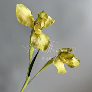 Fleurs d'iris artificielles Jinxi, en soie mélangée, imperméables, pour mariage et décoration intérieure, 2 têtes - Product Image 4