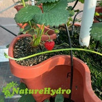 Jardinière verticale pour fraises Pot en plastique empilable Ensemble de jardinage suspendu pour pépinière et fraises