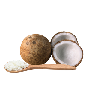 Proveedor de agricultura Los más vendidos 2023 Coco seco de coco natural 12 13 cm Fabricación de envases personalizados de Vietnam - Product Image 4