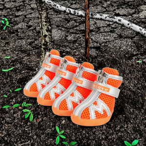 ट्रूलोवे उच्च-शीर्ष कुत्ते जूते पहनने के लिए प्रतिरोधी और वाटरप्रूफ पालतू जूते ठोस पैटर्न गर्म बिक्री आउटडोर थोक कुत्ते गियर - Product Image 3