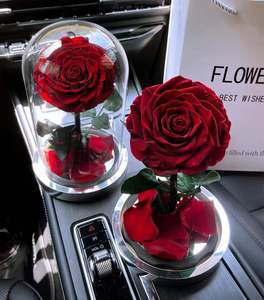 Fornitura Diretta dalla Fabbrica: Rosa Eterna Conservata Sotto Cupola di Vetro, Confezione Regalo con Luce LED - Product Image 4