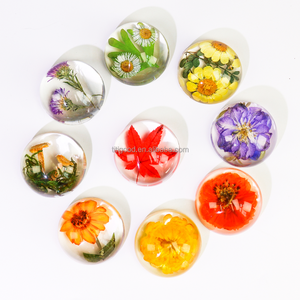 Planta Resina Artesanía Pisapapeles Acrílico Transparente con Planta Espécimen Flor Arte Flores Secas en Resina - Product Image 1