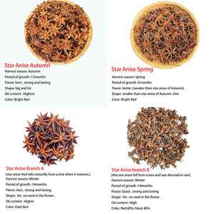 Anís estrellado de Guangxi, especias de fábrica, sin azufre, recolectado a mano, cosecha de otoño, aroma agradable, semillas de anís estrellado para cocinar - Product Image 5
