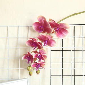 Orquídea de látex Real Touch de 7 cabezas de alta calidad Navidad realista Día de San Valentín Día DE LA MADRE Decoración de la habitación de muestra - Product Image 4