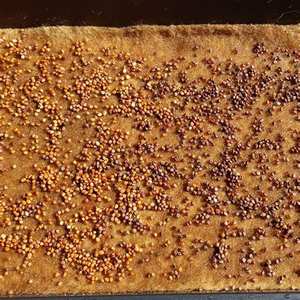 Hot Koop Outdoor Biologisch Afbreekbaar Jute Vilt Grow Mat Kokos Microgreen Zaailing Hydrocultuur Matten - Product Image 2