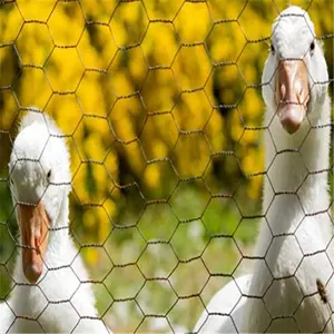 Vente directe d'usine treillis métallique hexagonal treillis métallique de fer de poulet treillis métallique de poulet galvanisé à vendre