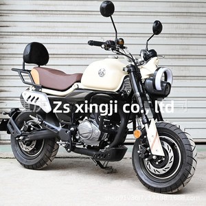 Porte-bagages arrière et dossier pour Zongshen Dundi Mini, accessoire de personnalisation de moto, en acier au carbone - Product Image 2