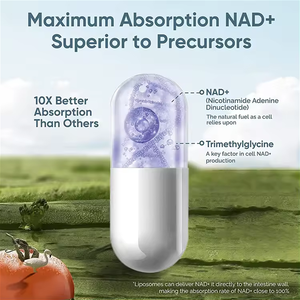 Nad + 120 Capsules de haute qualité Le supplément antioxydant sans ogm de marque privée améliore la clarté de la mise au point Les suppléments de nad - Product Image 3