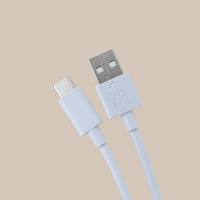 Câble de charge rapide USB Type C vers Type C 3A avec gaine en PVC pour Android/iOS, vente en gros