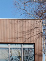 Revêtement mural moderne en WPC, imperméable et ignifuge, design durable à emboîtement pour hôtel, salle de sport, entrepôt, salon (garantie 5 ans)