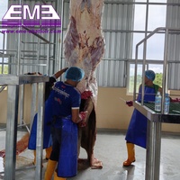 Équipement d'abattage de bétail halal : Pompe, moteur, boîte de vitesses, roulement pour usine de transformation de viande mondiale, construction en acier