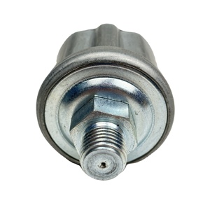 Capteur de pression d'huile moteur 0419 0809 04190809 pour BFM 1013 1012 2012 2013 - Product Image 1