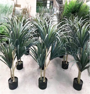 Planta Artificial de Alta Gama Personalizada de 80 cm, Estilo Nórdico, Árbol de Sangre de Dragón Artificial para Decoración de Bodas, Hogares y Centros Comerciales - Product Image 4