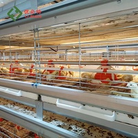 Mangeoire automatique pour poulets bon marché Équipement d'élevage de volaille Batterie pour poussins Cage pour poulets de chair pour 10000