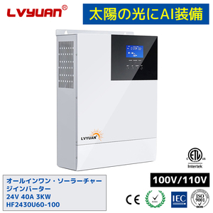 Convertisseur solaire hors réseau <span class=keywords><strong>LVYUAN</strong></span> 3Kw 12V 3000 Watt Convertisseur hybride Onduleur solaire à onde sinusoïdale pure avec Mppt - Product Image 4