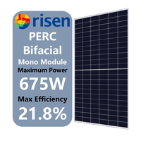 Panneaux solaires photovoltaïques PERC bifaciaux à double vitrage monocristallins Risen Industrial Commercial Roof 650W 670W
