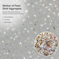 Flocons de nacre naturelle blanche en vrac de 3 à 5 mm pour terrazzo, revêtement de sol en résine liée, agrégat décoratif en coquillages
