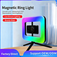 Anneau lumineux LED RGB pour téléphone, type cage à lapin, avec trépied au sol et support magnétique portable pour diffusion en direct et vidéo