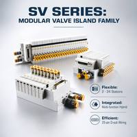 25-Pin D-Sub Integrierte Magnetventil-Insel für die industrielle Automatisierung – Kompaktes pneumatisches Ventilmodul 5/2, 5/3, 3/2 Wege