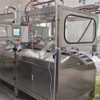 Grote Capaciteit Doos In Zak Fruit Pulp Pasta Jam Melk Aluminiumfolie Zak Aseptische Vulmachine