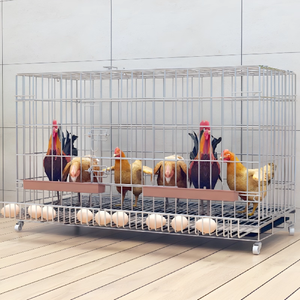 Gabbie per galline in filo zincato antiruggine a maglia cubica 5x10 cm, con filo da 2,5 mm, 3 mm e porta, pieghevoli, per allevamento e recinzione - Product Image 1