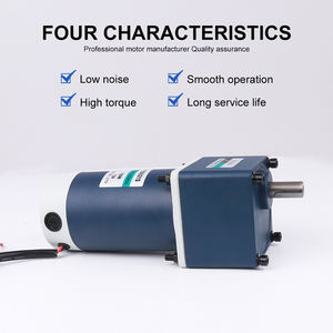 محرك تروس كهربائي عالي الكفاءة 120 واط 12 فولت/24 فولت تيار مستمر قابل للعكس منخفض الضوضاء بمغناطيس دائم - Product Image 2